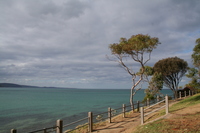 An der Great Ocean Road An der Great Ocean Road
